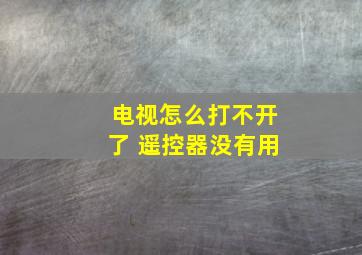 电视怎么打不开了 遥控器没有用